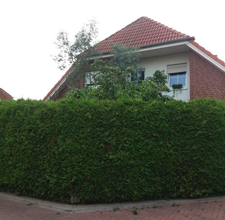 Ruhiges Zimmer Direkt An Den Leineauen Hemmingen  Екстериор снимка